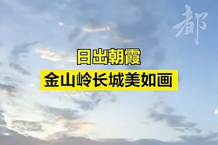 恩波利主帅：不认为迪马尔科的进球有效，但我们接受判罚